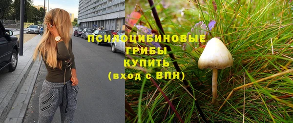 герыч Инта