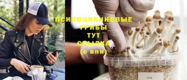 синтетический гашиш Зерноград
