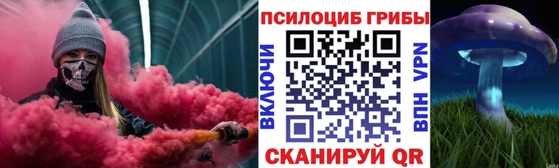 Псилоцибиновые грибы Magic Shrooms  Купить закладки  Красновишерск 